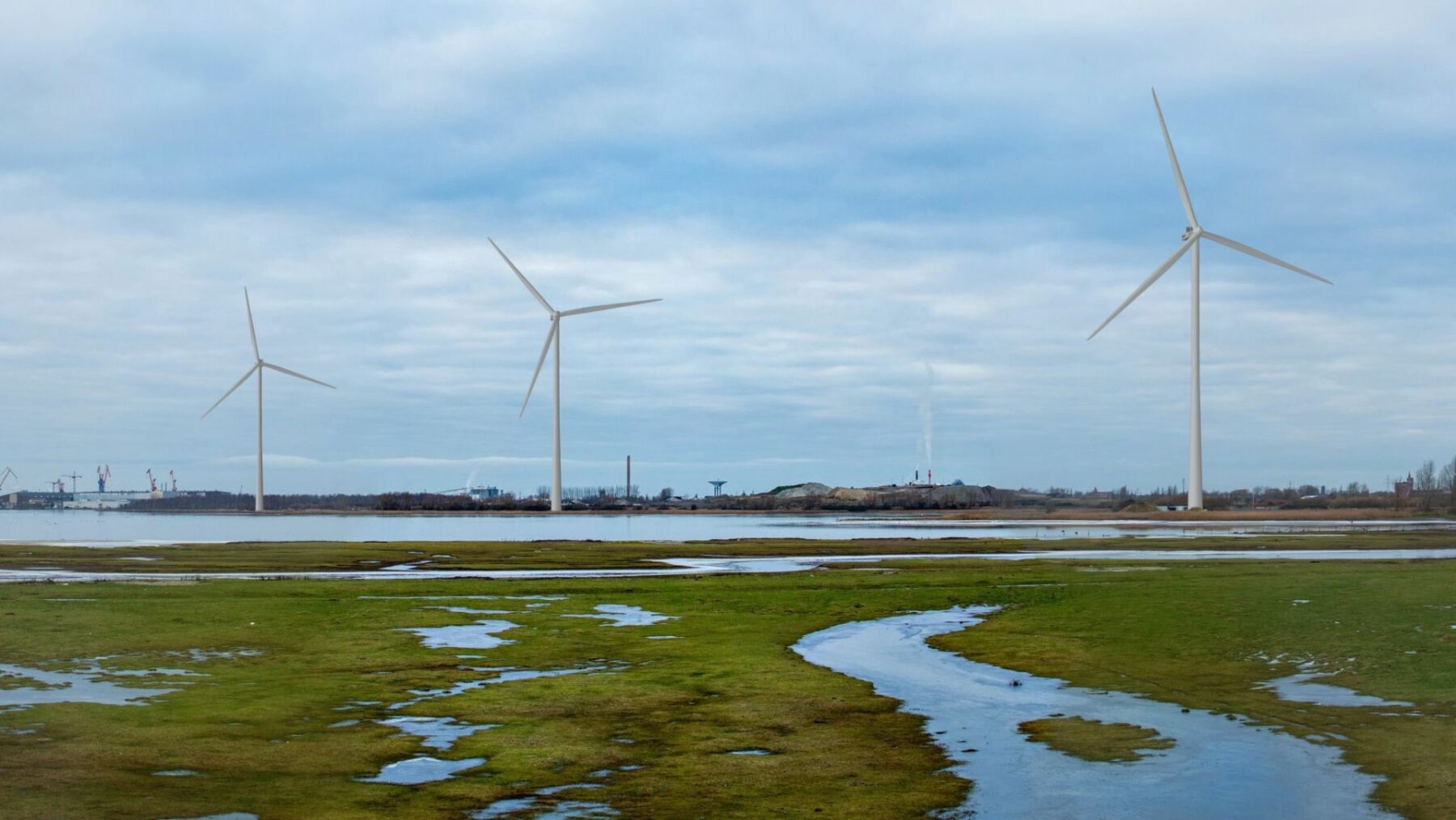 Tre vindkraftverk med strandäng i förgrunden