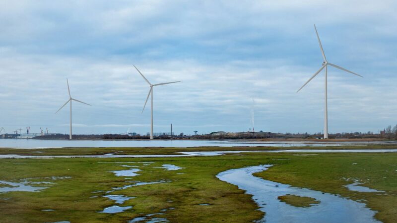 Tre vindkraftverk med strandäng i förgrunden